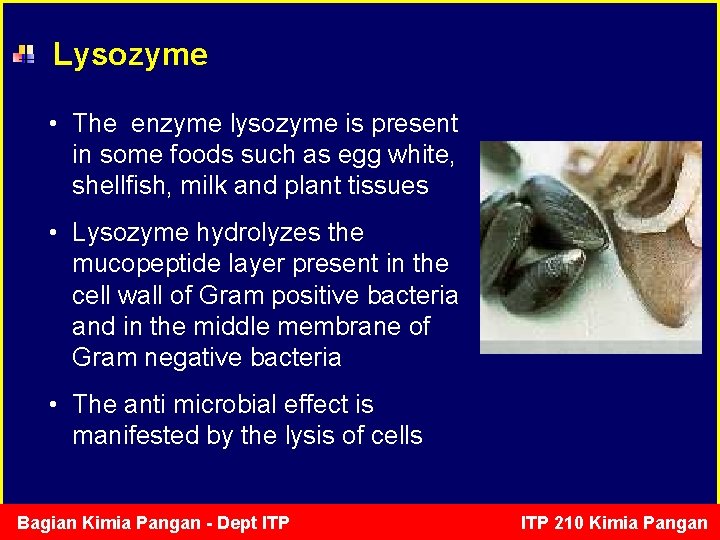  Lysozyme • The enzyme lysozyme is present in some foods such as egg