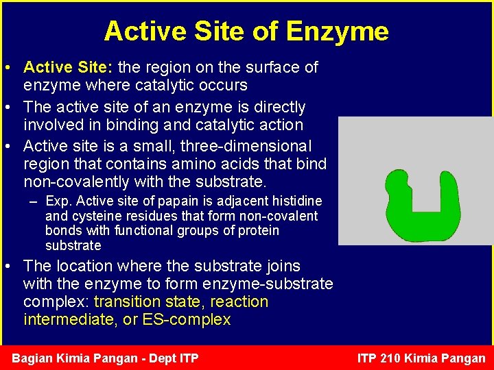 Active Site of Enzyme • Active Site: the region on the surface of enzyme