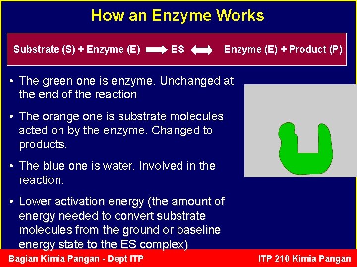 How an Enzyme Works Substrate (S) + Enzyme (E) ES Enzyme (E) + Product