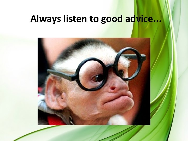 Always listen to good advice. . . 