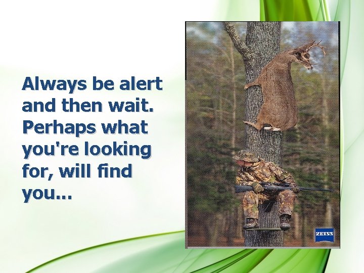 Always be alert and then wait. Perhaps what you're looking for, will find you.