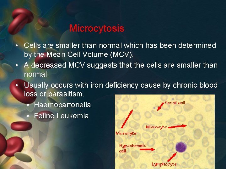 Microcytosis • Cells are smaller than normal which has been determined by the Mean