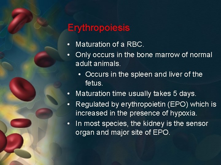 Erythropoiesis • Maturation of a RBC. • Only occurs in the bone marrow of