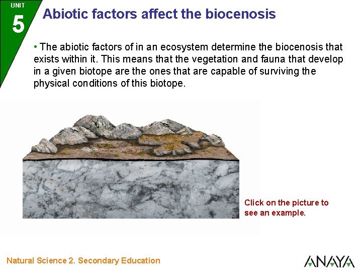 UNIT 5 Abiotic factors affect the biocenosis • The abiotic factors of in an