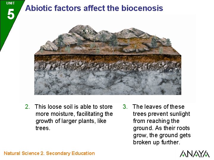 UNIT 5 Abiotic factors affect the biocenosis 2. This loose soil is able to