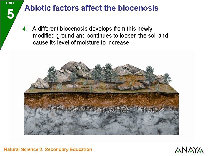 UNIT 5 Abiotic factors affect the biocenosis 4. A different biocenosis develops from this