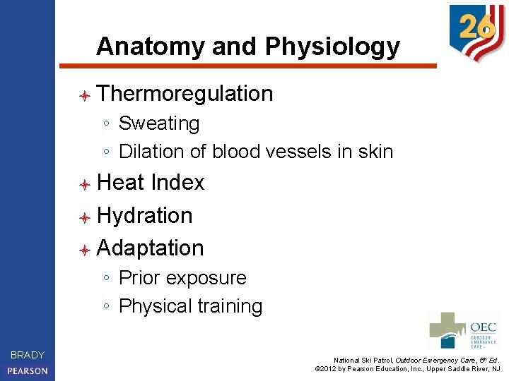 Anatomy and Physiology l Thermoregulation ◦ Sweating ◦ Dilation of blood vessels in skin