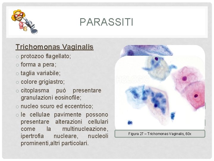 PARASSITI Trichomonas Vaginalis o protozoo flagellato; o forma a pera; o taglia variabile; o