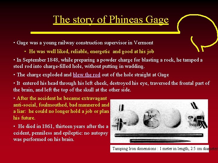 The story of Phineas Gage • Gage was a young railway construction supervisor in