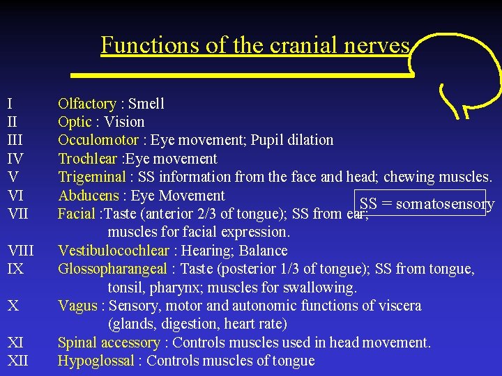 Functions of the cranial nerves I II IV V VI VIII IX X XI