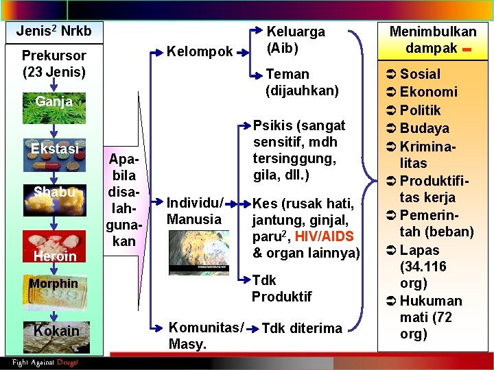 Jenis 2 Nrkb Kelompok Prekursor (23 Jenis) Teman (dijauhkan) Ganja Ekstasi Shabu Heroin Apabila