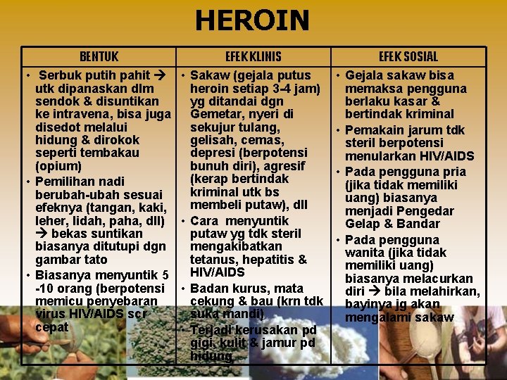 HEROIN BENTUK • Serbuk putih pahit utk dipanaskan dlm sendok & disuntikan ke intravena,