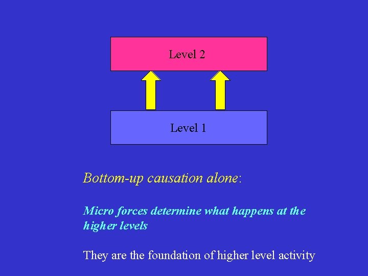 Level 2 Level 1 Bottom-up causation alone: Micro forces determine what happens at the