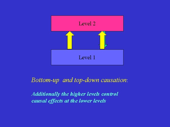 Level 2 Level 1 Bottom-up and top-down causation: Additionally the higher levels control causal