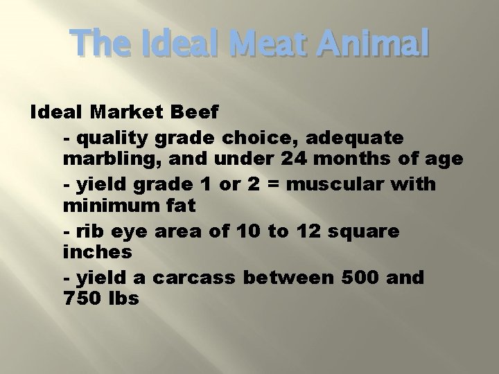 The Ideal Meat Animal Ideal Market Beef - quality grade choice, adequate marbling, and
