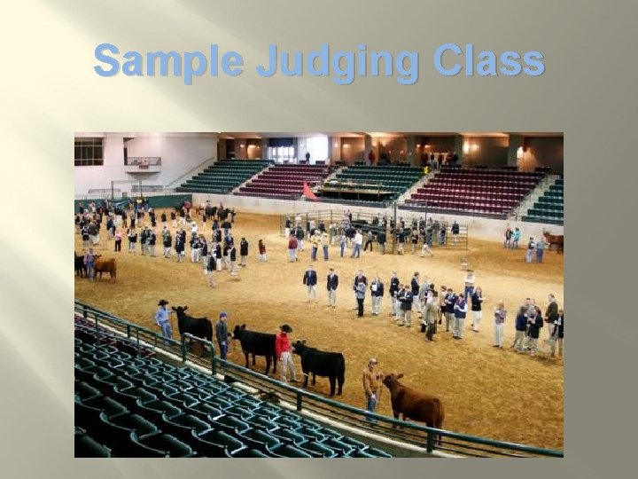 Sample Judging Class 