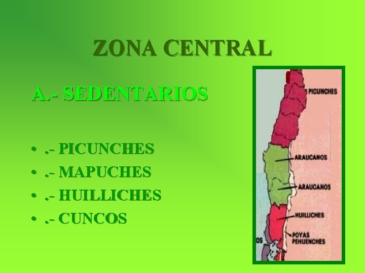 ZONA CENTRAL A. - SEDENTARIOS • • . - PICUNCHES. - MAPUCHES. - HUILLICHES.