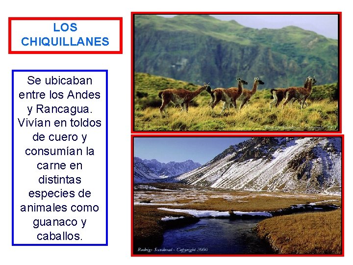 LOS CHIQUILLANES Se ubicaban entre los Andes y Rancagua. Vivían en toldos de cuero
