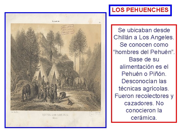 LOS PEHUENCHES Se ubicaban desde Chillán a Los Angeles. Se conocen como “hombres del