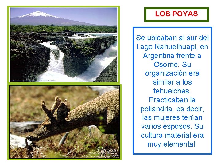 LOS POYAS Se ubicaban al sur del Lago Nahuelhuapi, en Argentina frente a Osorno.