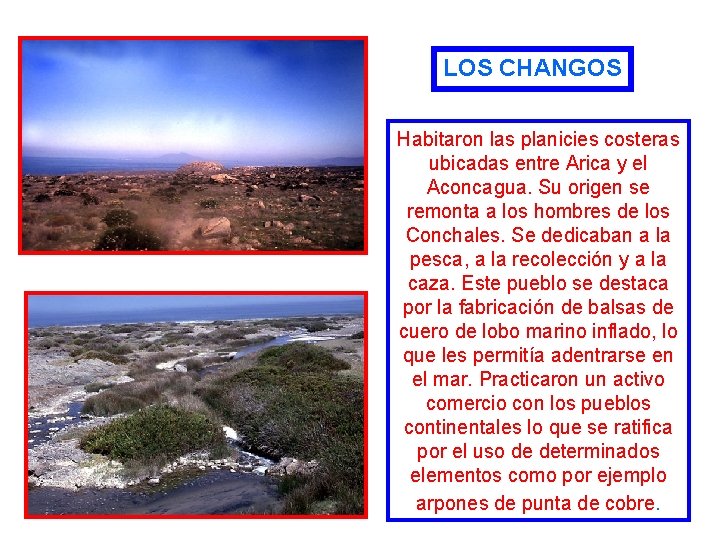 LOS CHANGOS Habitaron las planicies costeras ubicadas entre Arica y el Aconcagua. Su origen