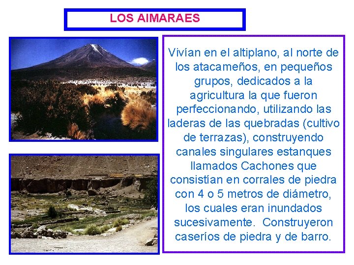 LOS AIMARAES Vivían en el altiplano, al norte de los atacameños, en pequeños grupos,