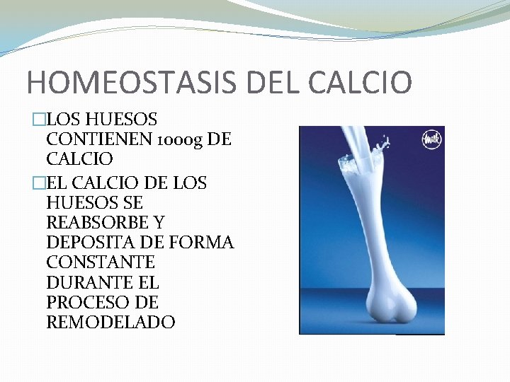 HOMEOSTASIS DEL CALCIO �LOS HUESOS CONTIENEN 1000 g DE CALCIO �EL CALCIO DE LOS