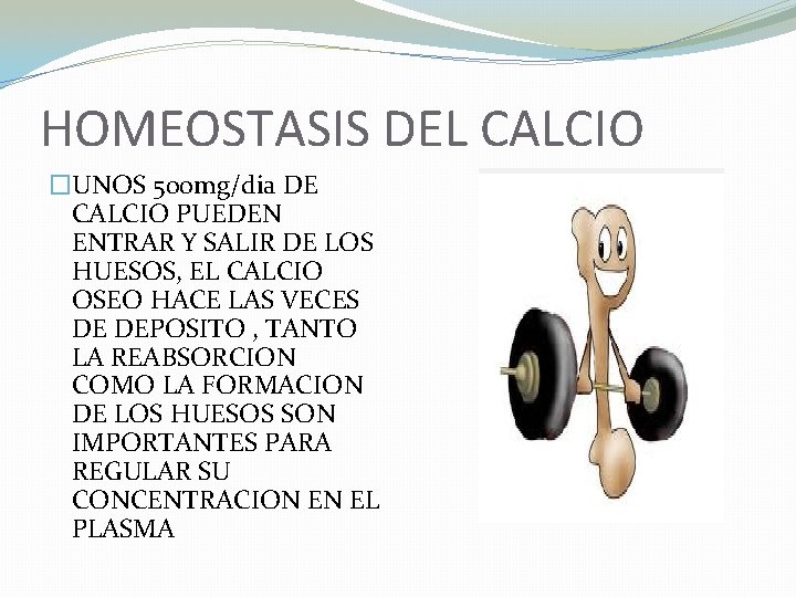 HOMEOSTASIS DEL CALCIO �UNOS 500 mg/dia DE CALCIO PUEDEN ENTRAR Y SALIR DE LOS