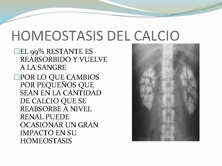 HOMEOSTASIS DEL CALCIO �EL 99% RESTANTE ES REABSORBIDO Y VUELVE A LA SANGRE �POR