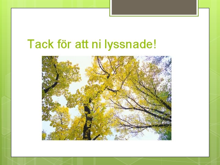 Tack för att ni lyssnade! 