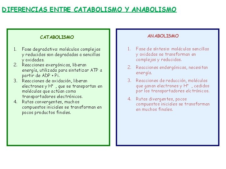 DIFERENCIAS ENTRE CATABOLISMO Y ANABOLISMO CATABOLISMO 1. 2. 3. 4. Fase degradativa: moléculas complejas