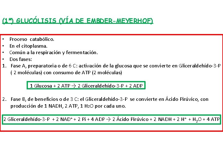 (1*) GLUCÓLISIS (VÍA DE EMBDER-MEYERHOF) • • 1. Proceso catabólico. En el citoplasma. Común