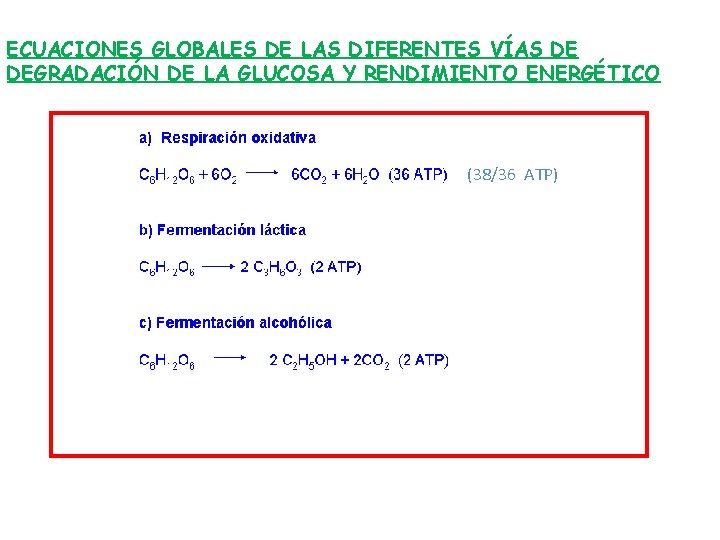 ECUACIONES GLOBALES DE LAS DIFERENTES VÍAS DE DEGRADACIÓN DE LA GLUCOSA Y RENDIMIENTO ENERGÉTICO