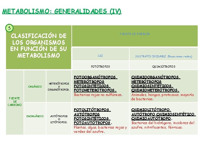 METABOLISMO: GENERALIDADES (IV) 5 CLASIFICACIÓN DE LOS ORGANISMOS EN FUNCIÓN DE SU METABOLISMO ORGÁNICO