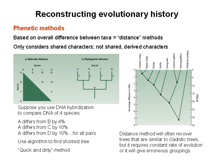 Reconstructing evolutionary history Phenetic methods Based on overall difference between taxa = “distance” methods