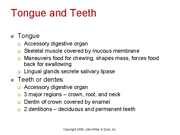 Tongue and Teeth n Tongue q q n Accessory digestive organ Skeletal muscle covered