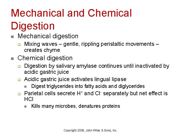 Mechanical and Chemical Digestion n Mechanical digestion q n Mixing waves – gentle, rippling
