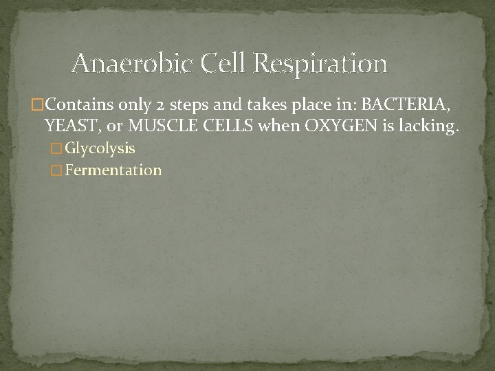 Anaerobic Cell Respiration �Contains only 2 steps and takes place in: BACTERIA, YEAST, or Anaerobic Cell Respiration �Contains only 2 steps and takes place in: BACTERIA, YEAST, or
