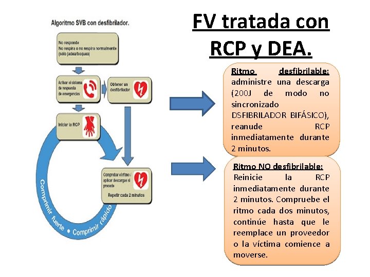 FV tratada con RCP y DEA. Ritmo desfibrilable: administre una descarga (200 J de