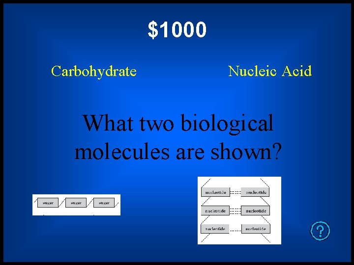 $1000 Carbohydrate Nucleic Acid What two biological molecules are shown? 