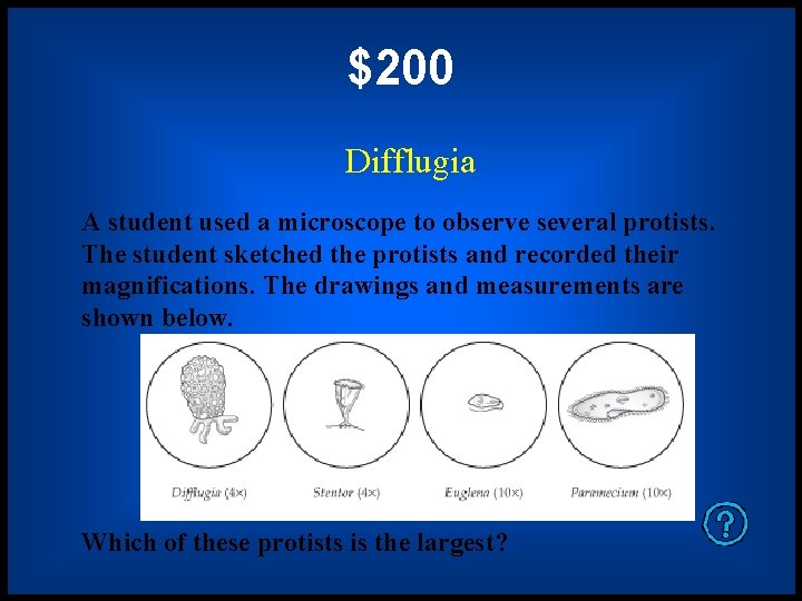 $200 Difflugia A student used a microscope to observe several protists. The student sketched