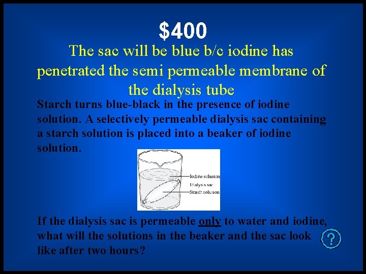 $400 The sac will be blue b/c iodine has penetrated the semi permeable membrane