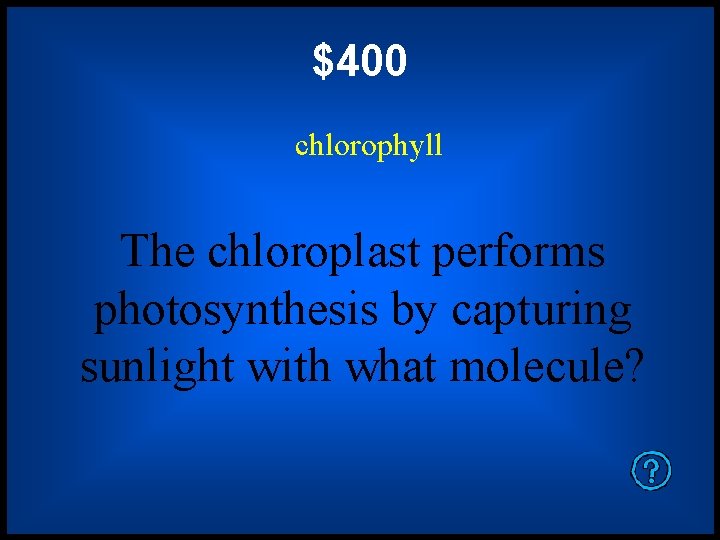 $400 chlorophyll The chloroplast performs photosynthesis by capturing sunlight with what molecule? 