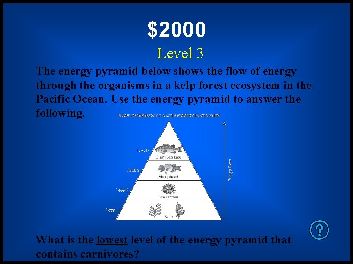 $2000 Level 3 The energy pyramid below shows the flow of energy through the