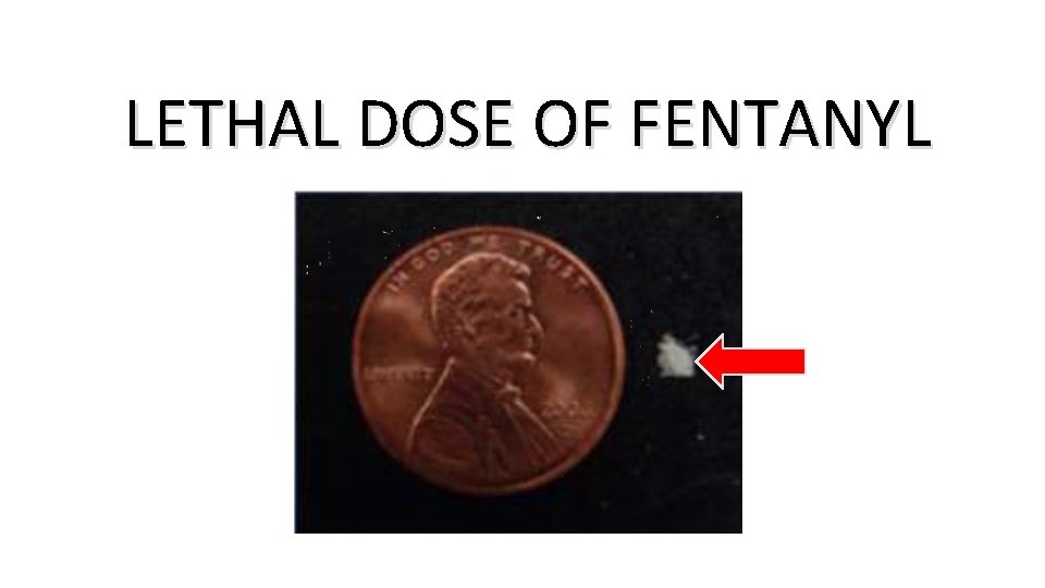 LETHAL DOSE OF FENTANYL 