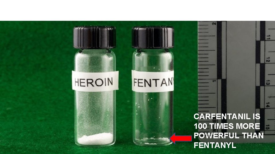 LETHAL DOSE CARFENTANIL IS 100 TIMES MORE POWERFUL THAN FENTANYL 