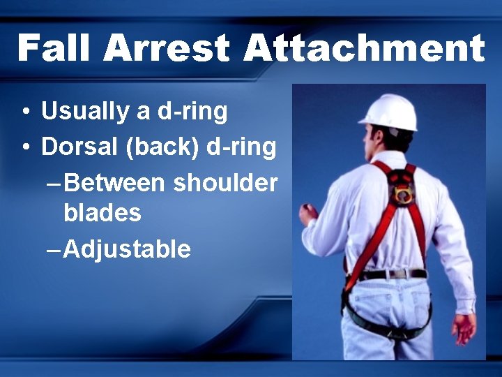 Fall Arrest Attachment • Usually a d-ring • Dorsal (back) d-ring – Between shoulder