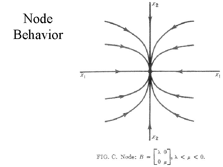 Node Behavior 