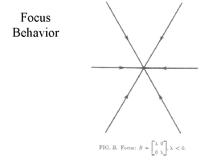 Focus Behavior 