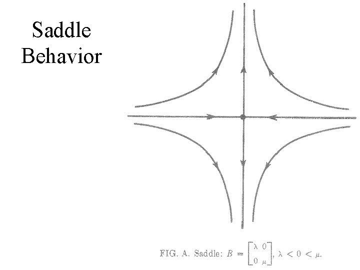 Saddle Behavior 